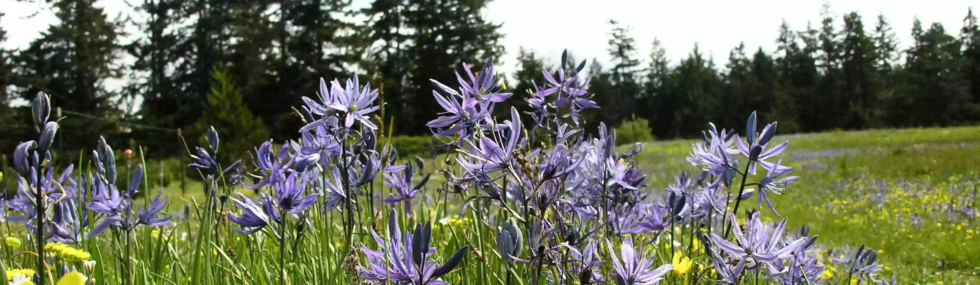 Ebey's Landing National Historic Reserve Visitor Center