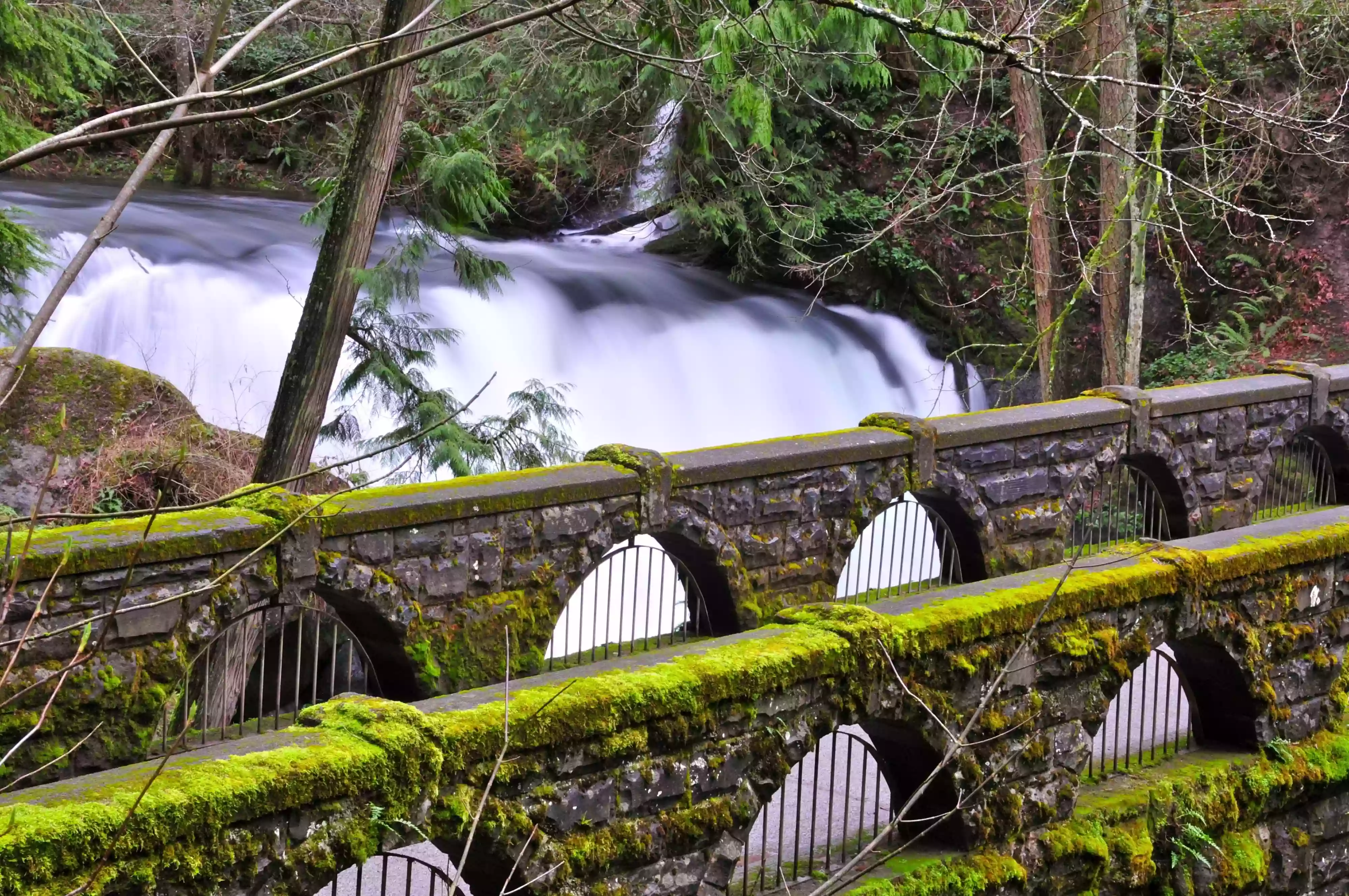 Whatcom Falls Park