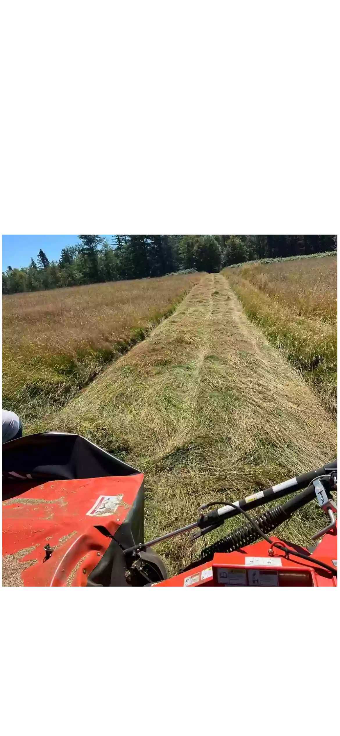 fox rd hay and land