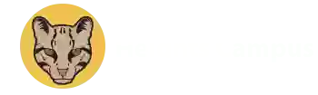 Heights Virtual Learning Academy