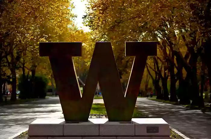 University of Washington Graduate School