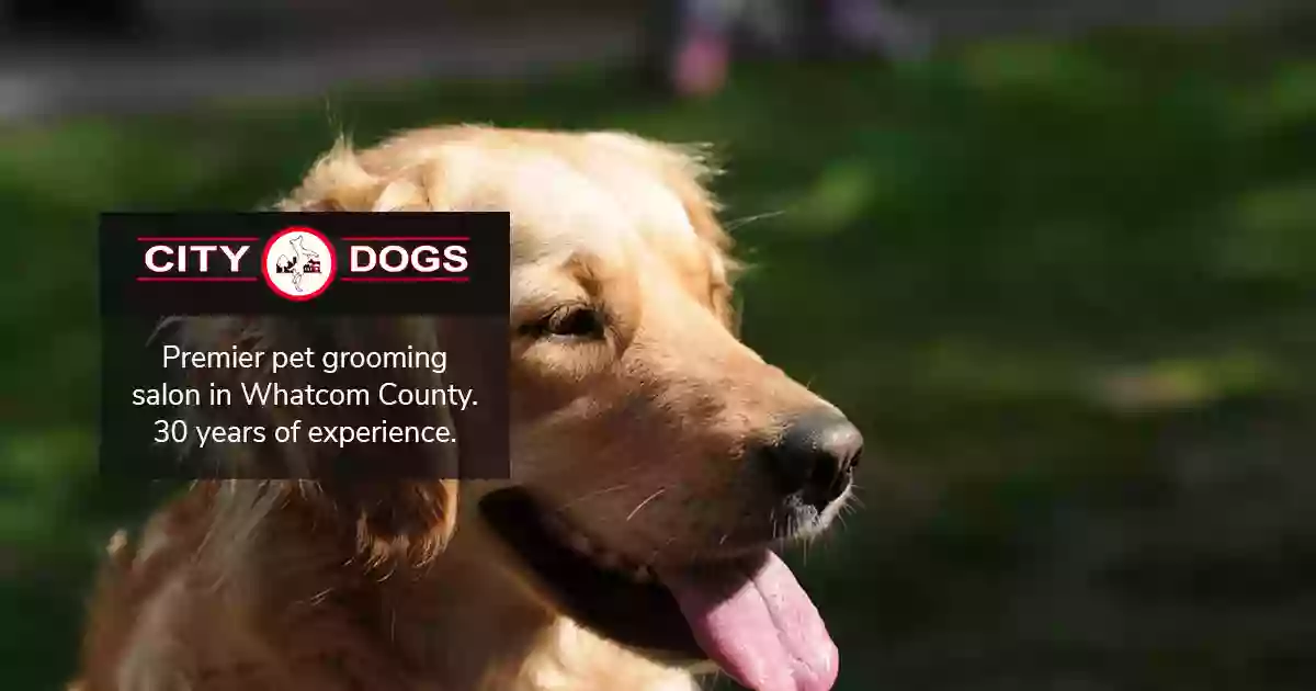 City Dogs Grooming