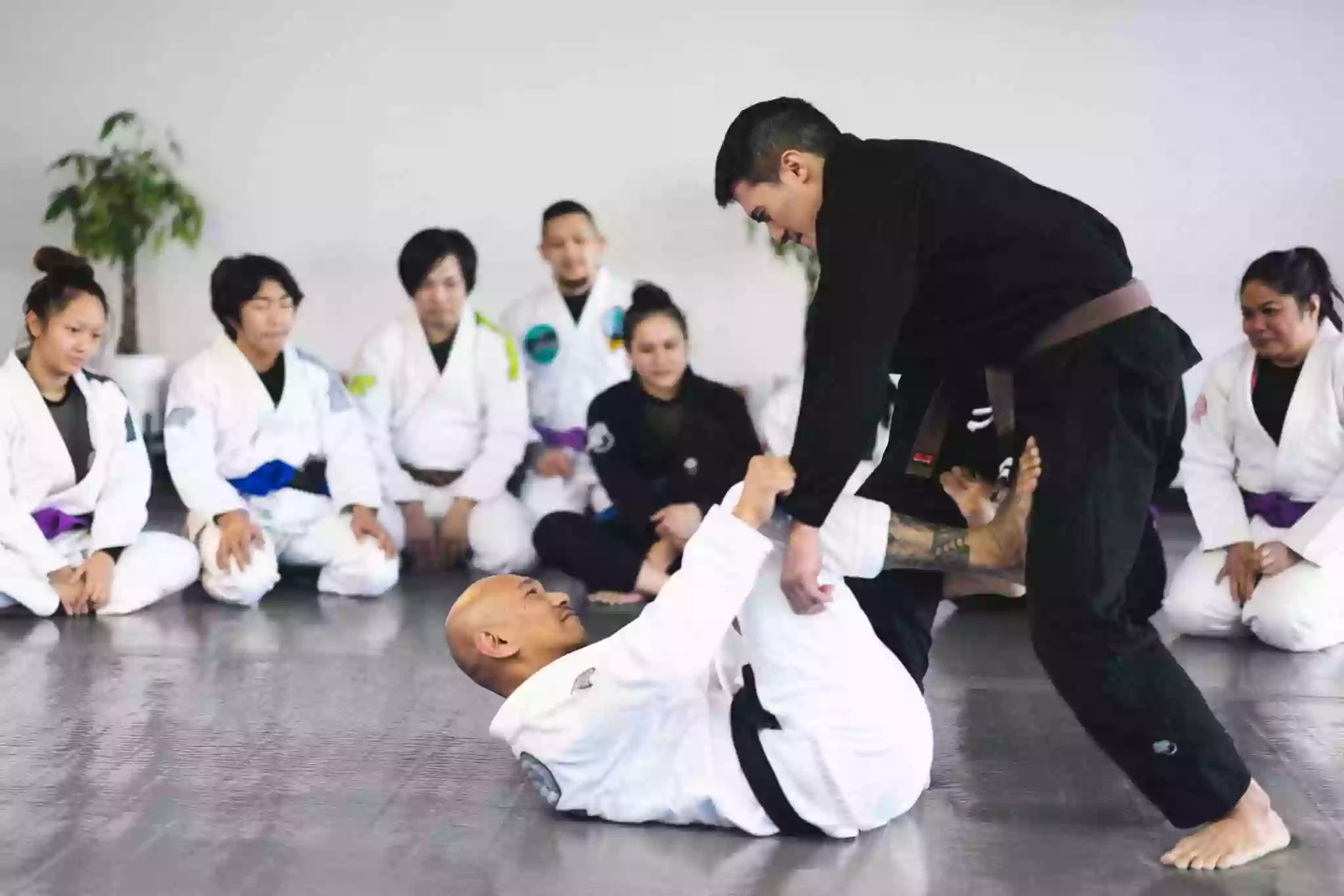 Isla Jiu Jitsu Academy