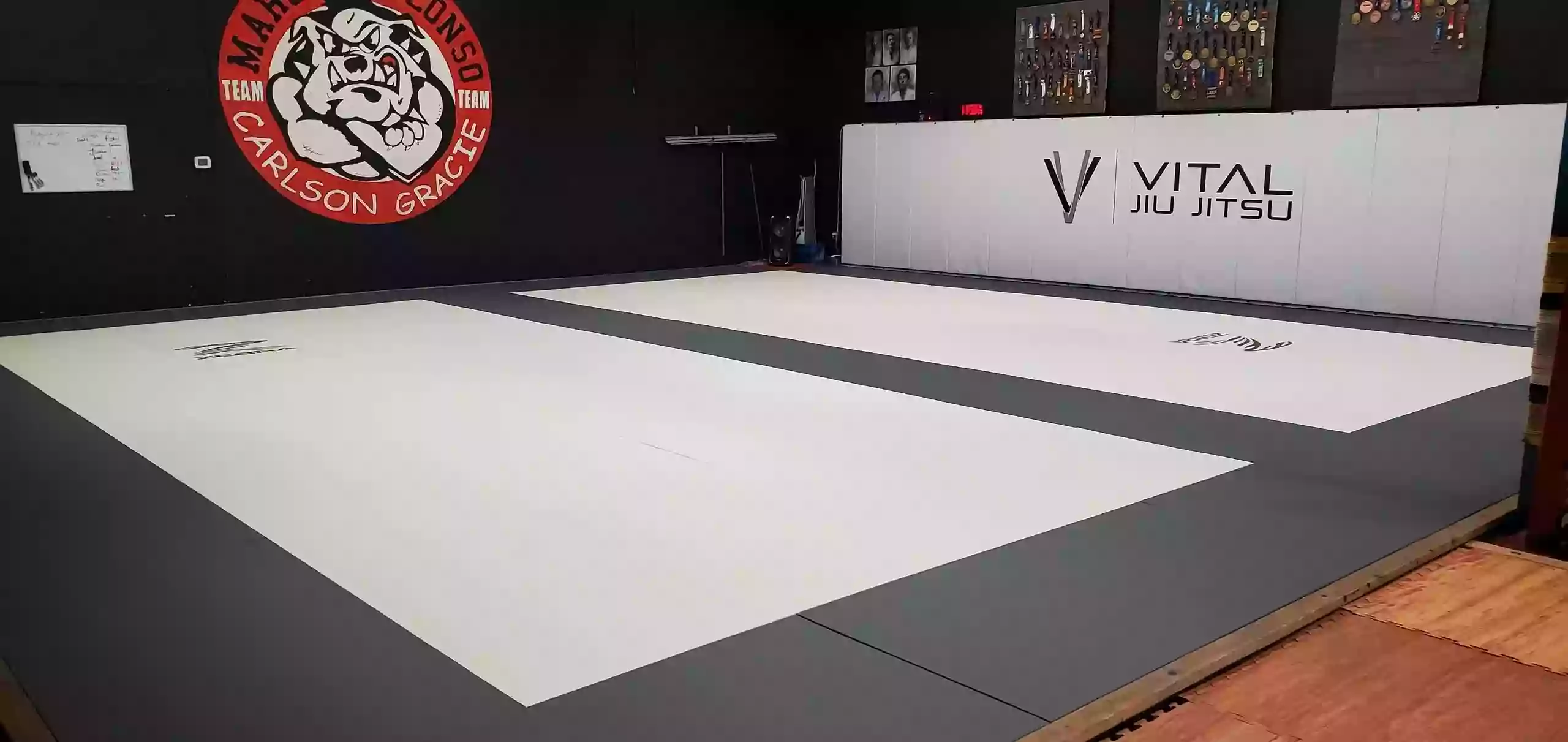 Vital Jiu Jitsu - Srisuk Muay Thai