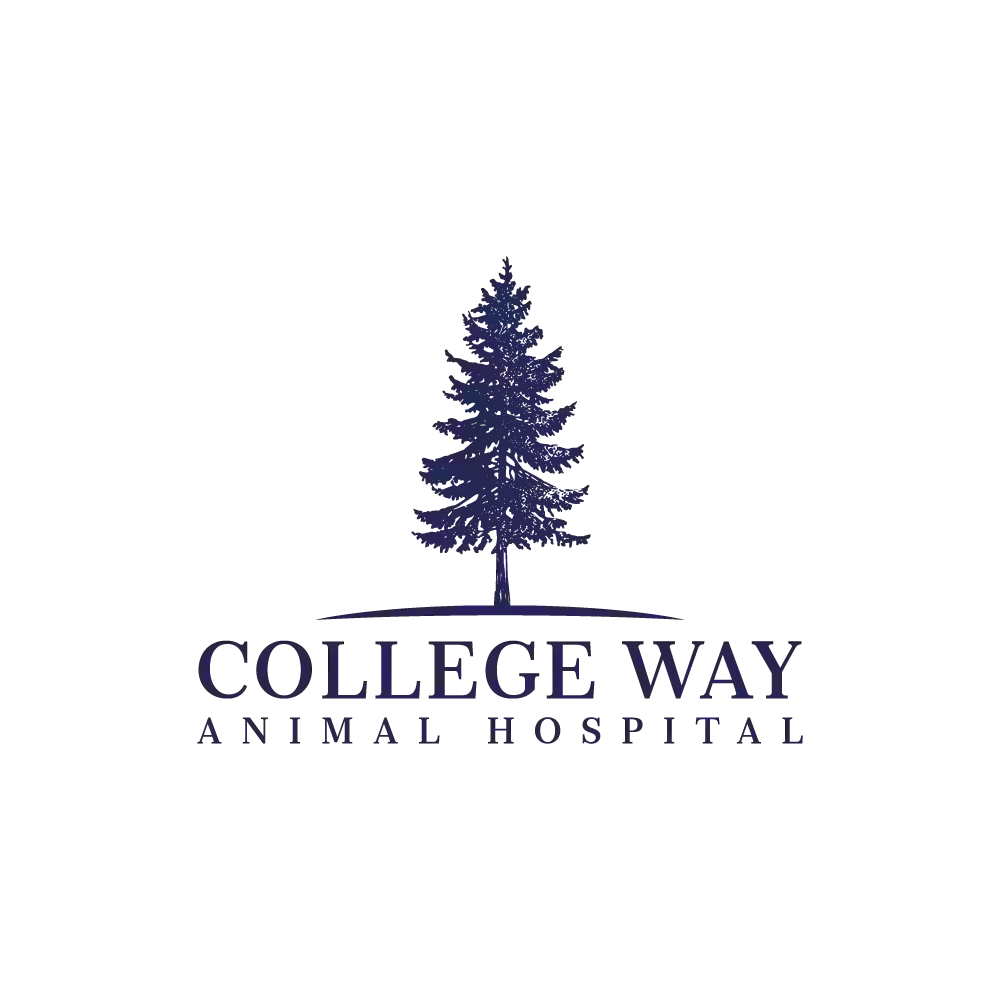 College Way Animal Hospital, A Thrive Pet Healthcare Partner