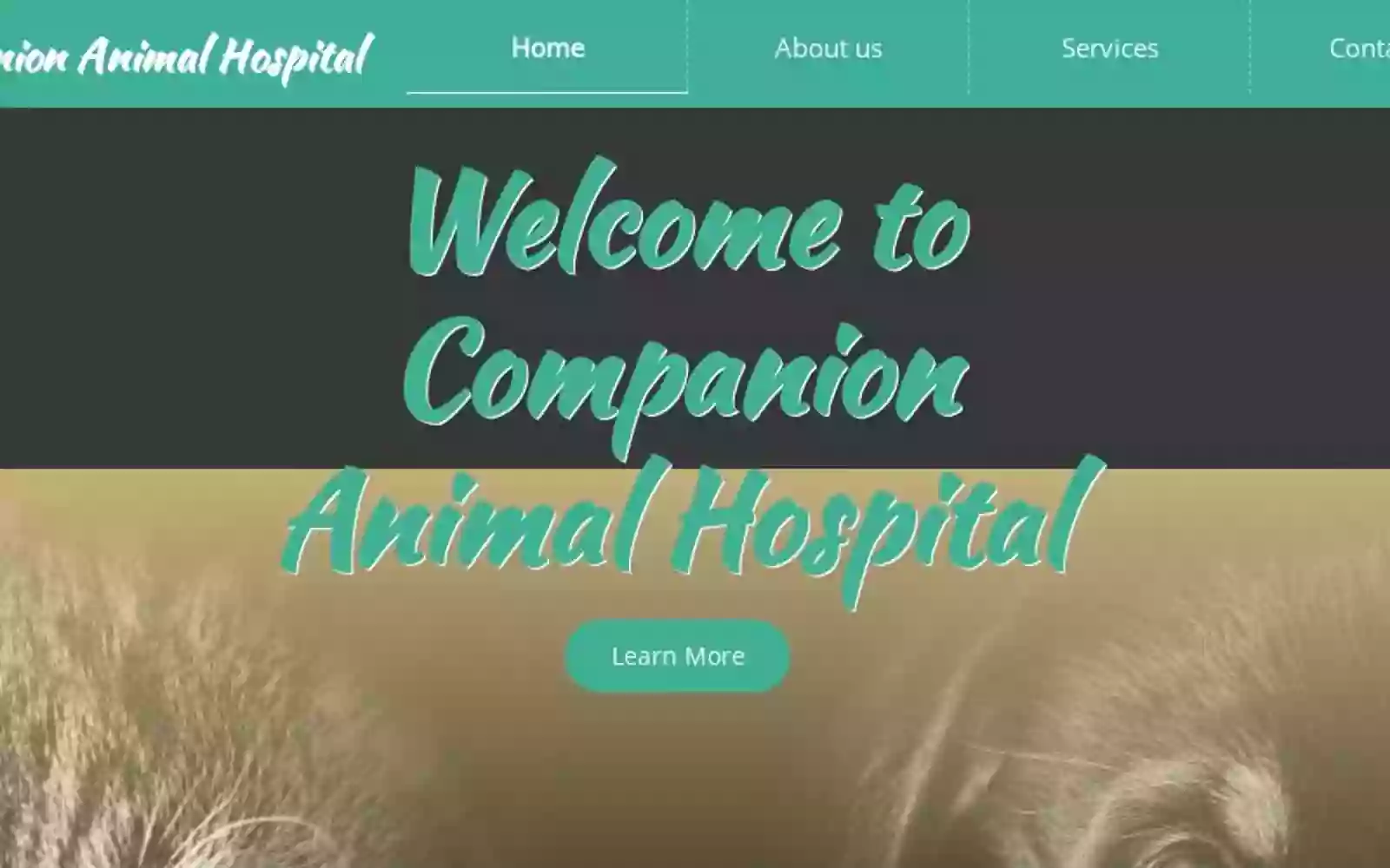 Companion Animal Hospital