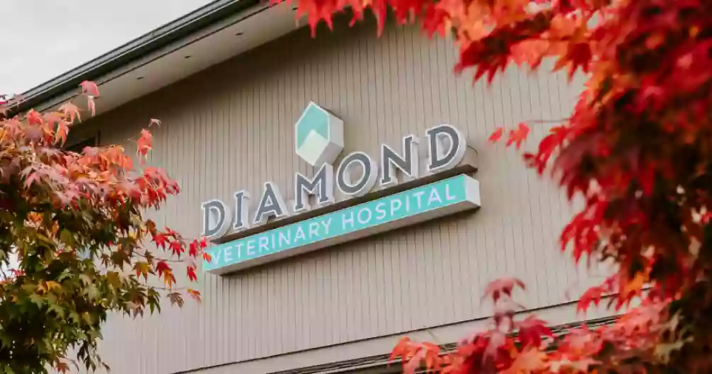 Diamond Veterinary Hospital