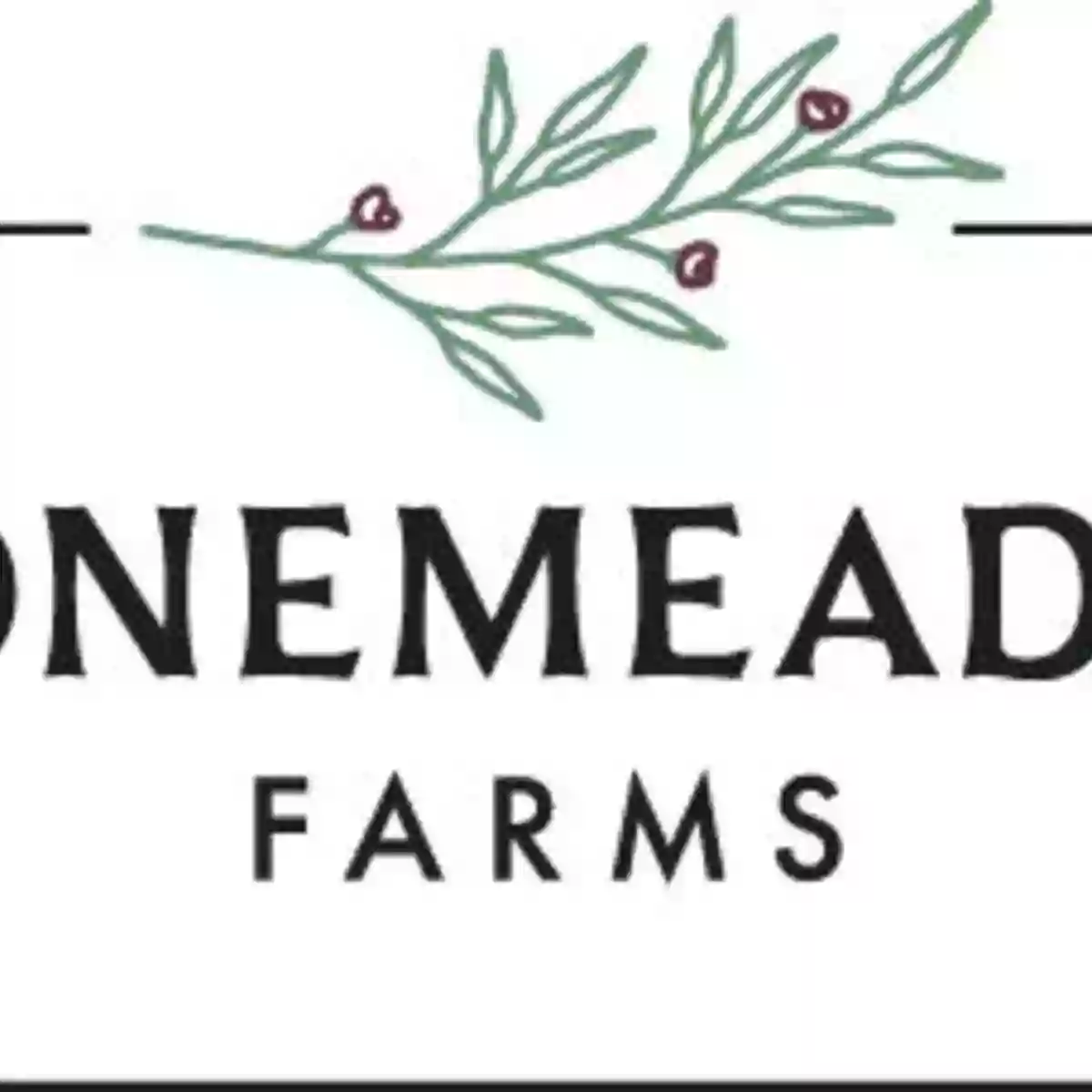 Stonemeadow Farms