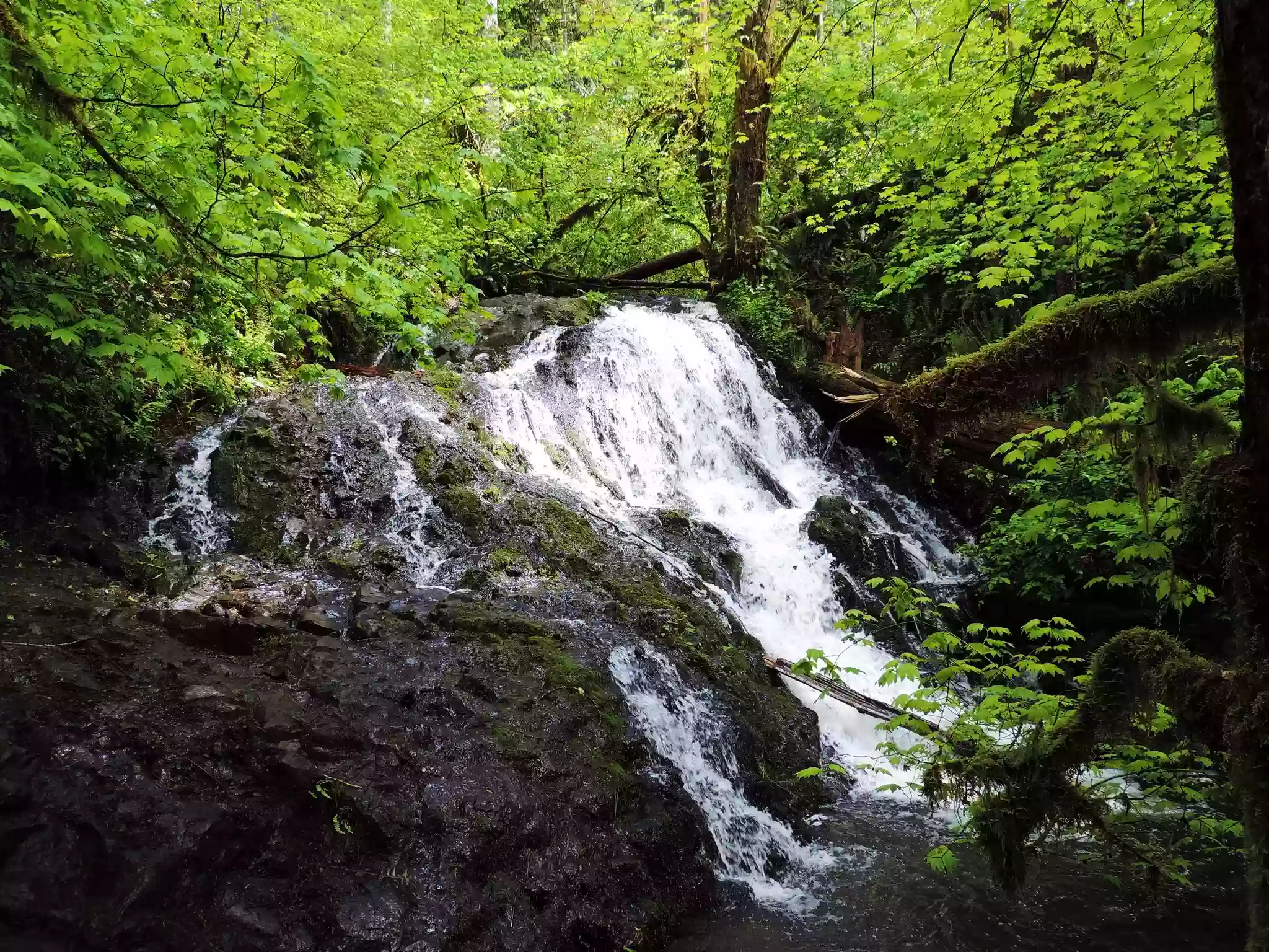 Mima Falls Trailhead and Parking Lot