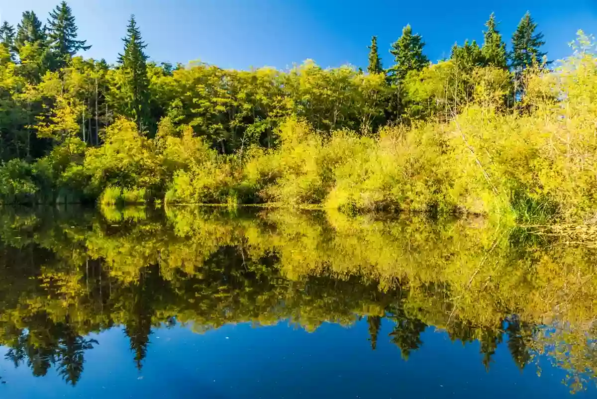 Scriber Lake Park