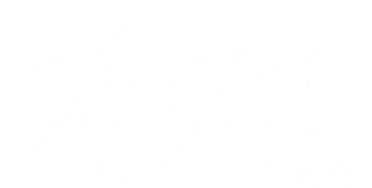 Happy Horse Riding School