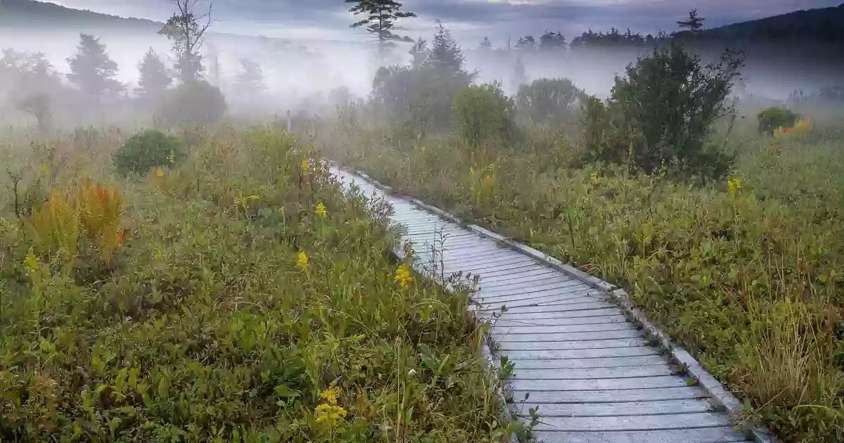 Cranesville Swamp Preserve