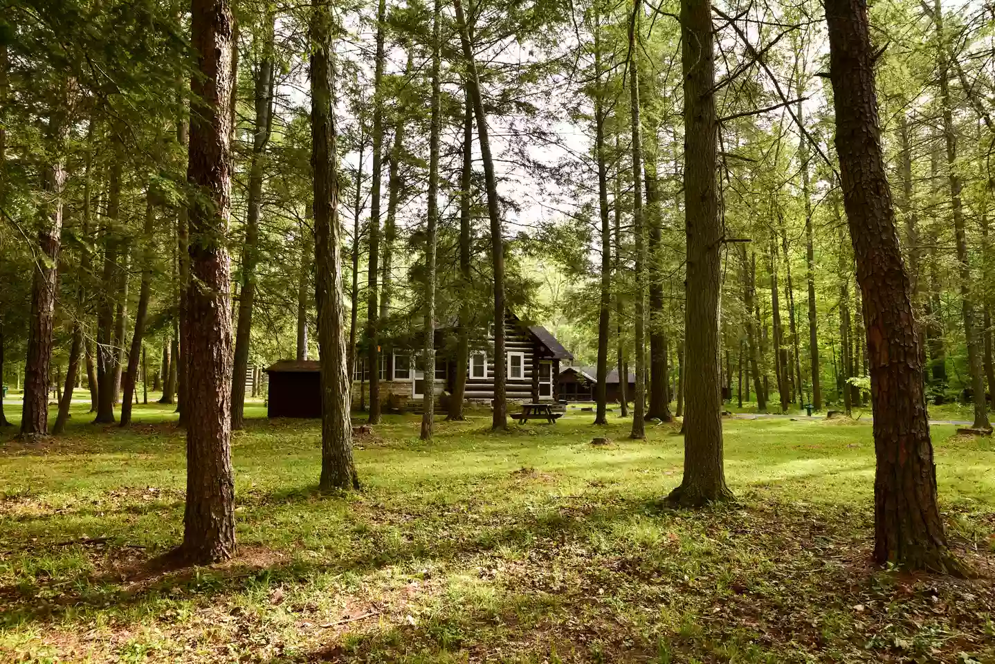 Greenbrier State Forest