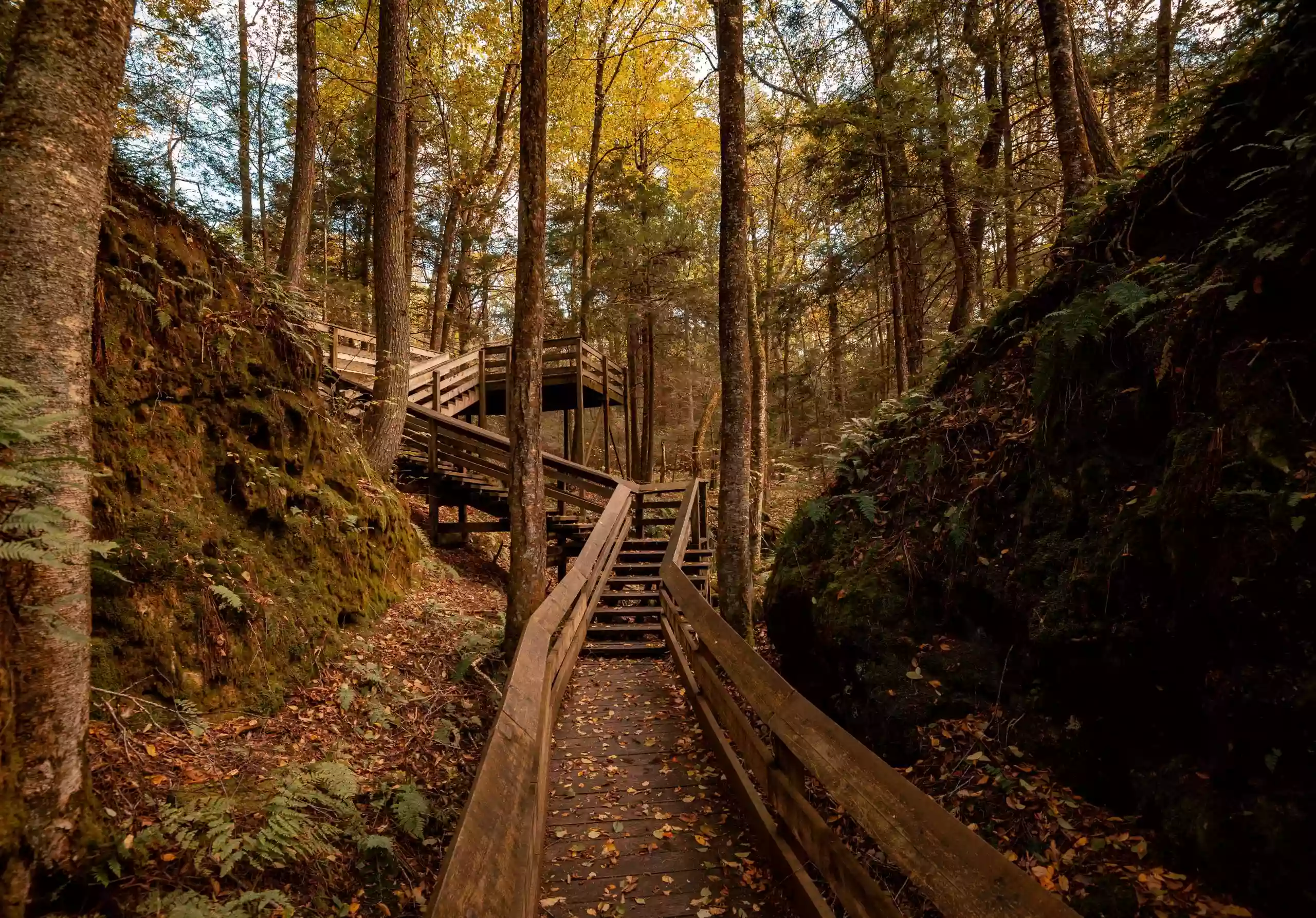 Beartown State Park