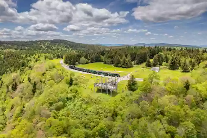 Cass Scenic Railroad