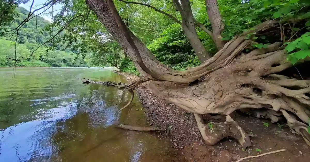 Middle Island - Ohio River Islands National Wildlife Refuge