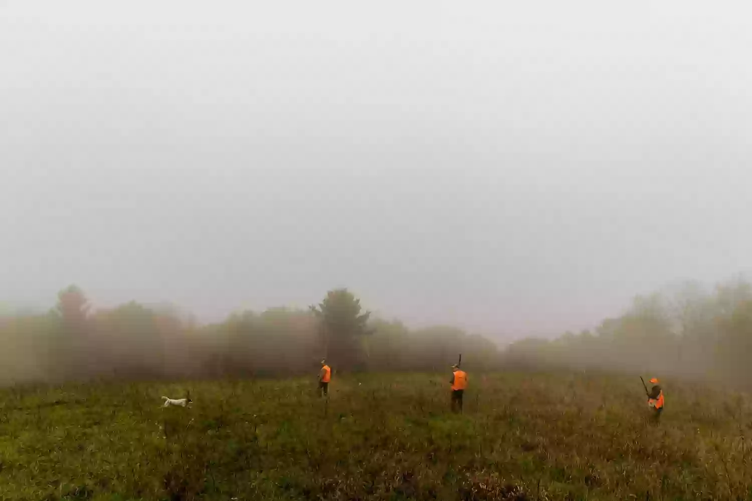 Woodrum Lake Wildlife Management Area