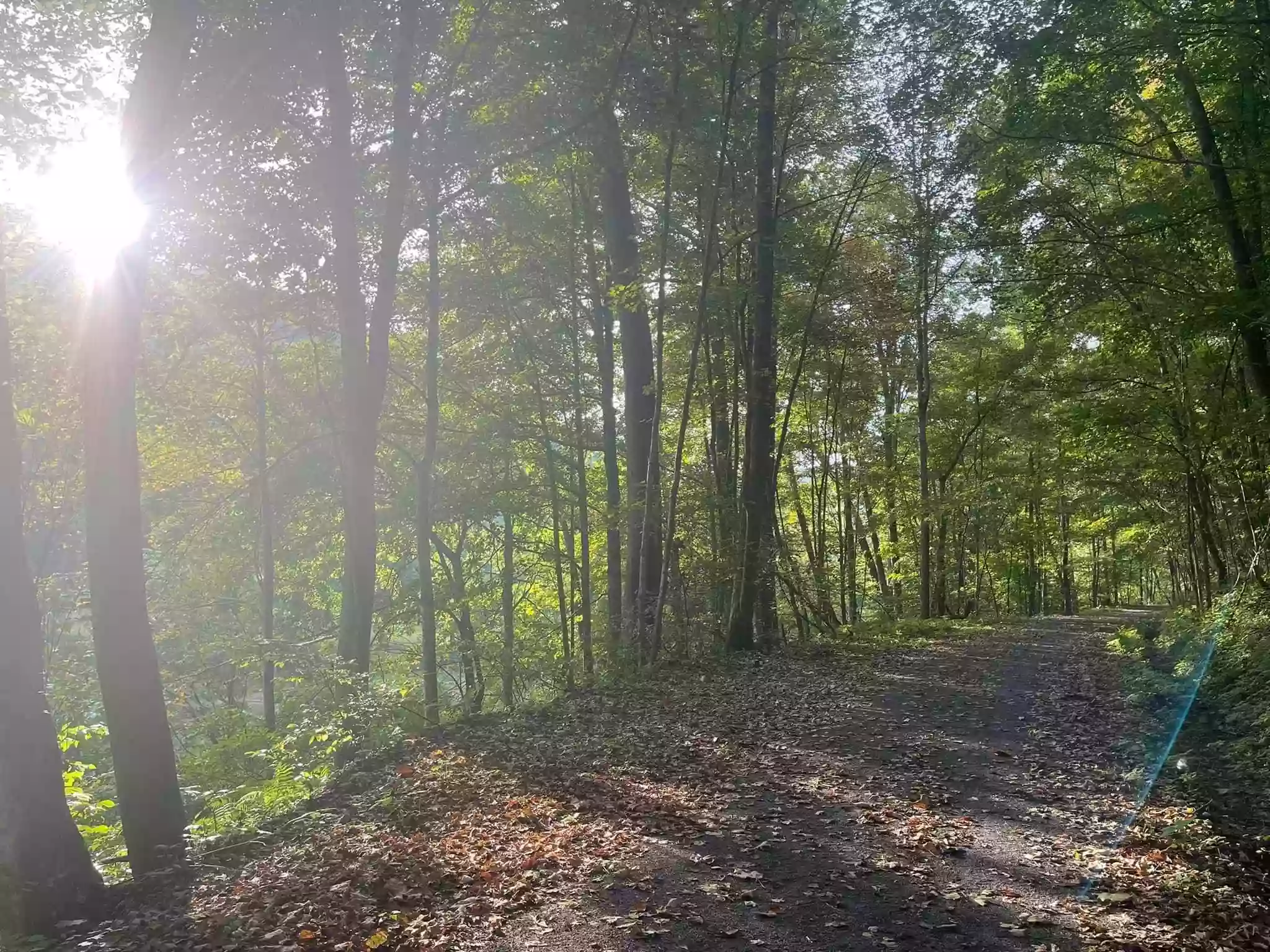 Elk River Trail @ Hartland