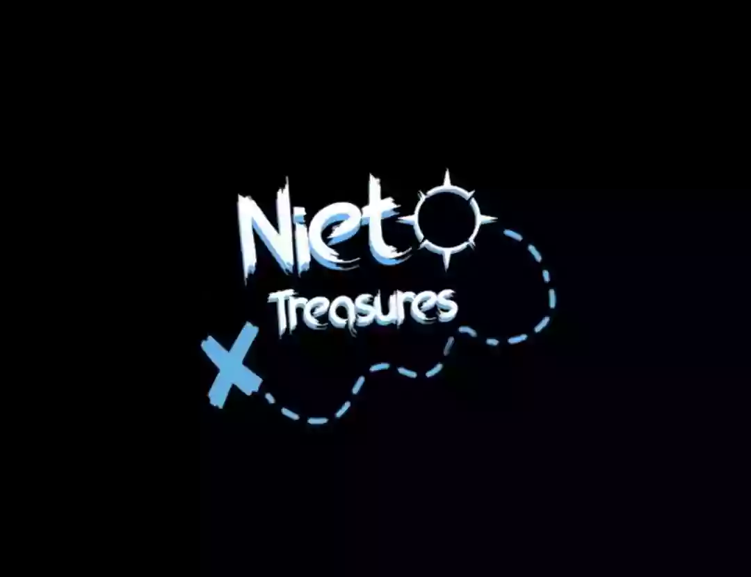 Nieto Treasures, LLC