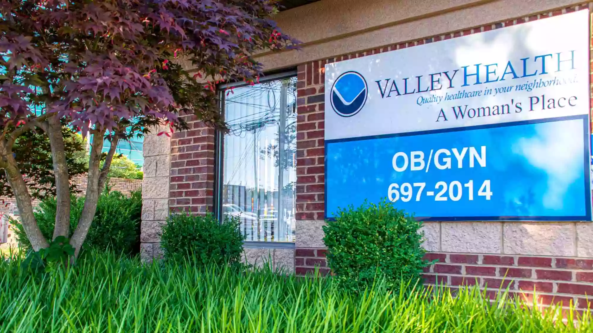 Valley Health-A Woman's Place: Vallejos Andrea M MD