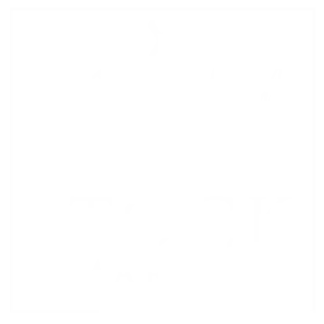 The Stock Market