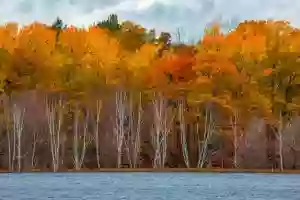 The Conger Collection - Cranberry lake Chalet