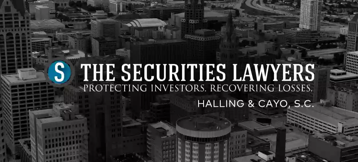 The Securities Lawyers