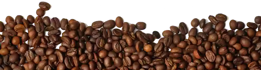 BLUECAF Coffee Roasters LLC