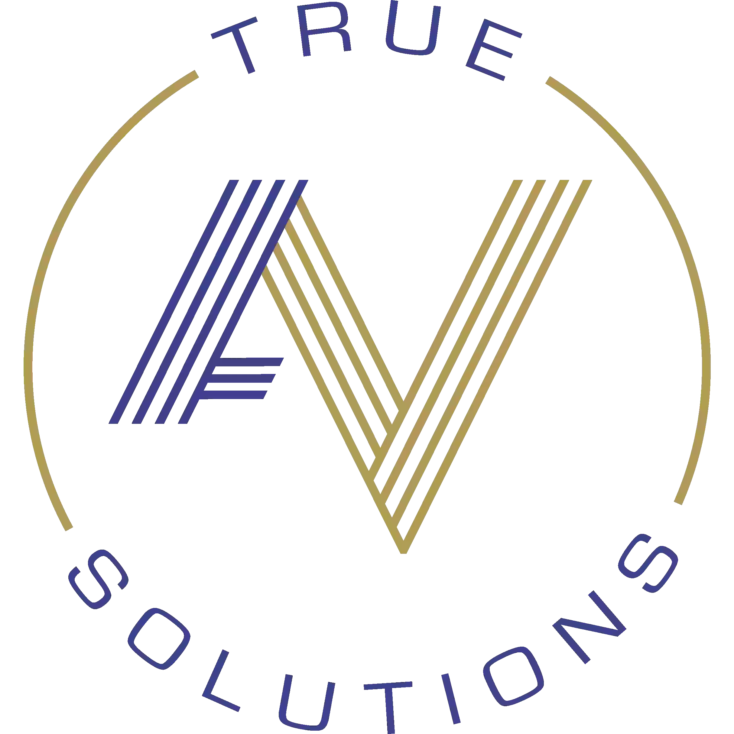 True AV Solutions