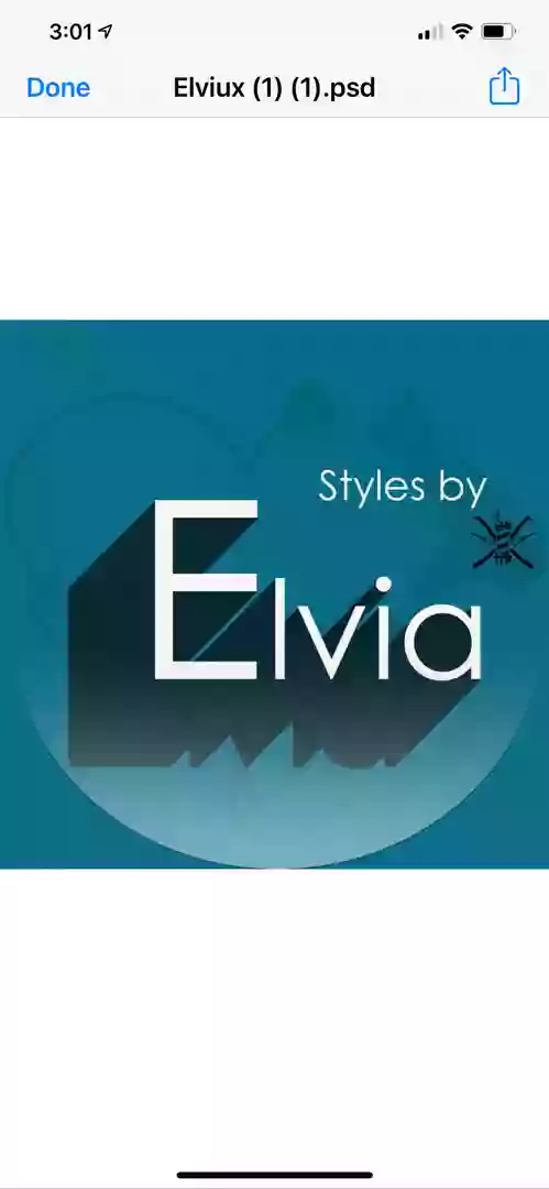 Styles By Elvia