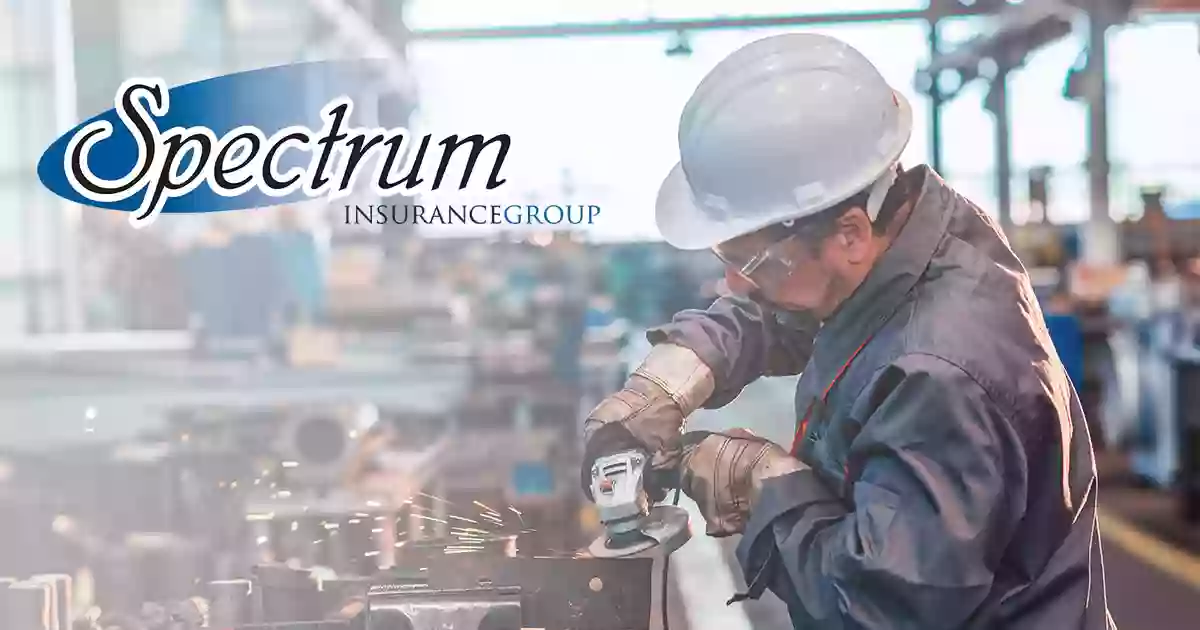 Spectrum Insurance Group - Hudson