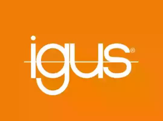 Igus Inc