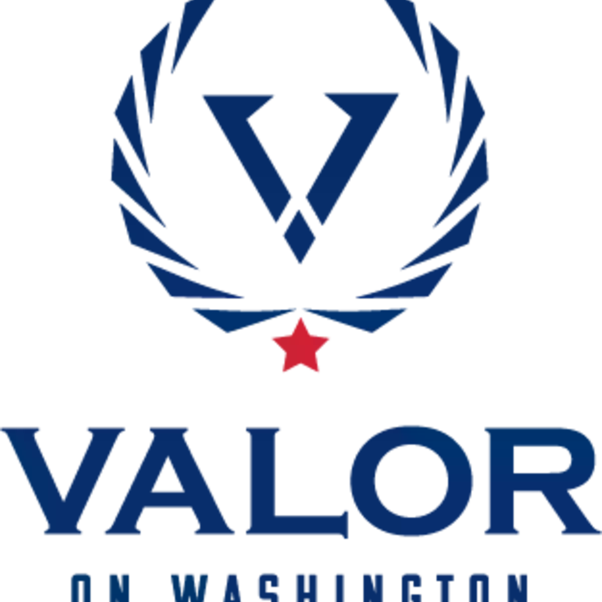 The Valor on Washington Apartments