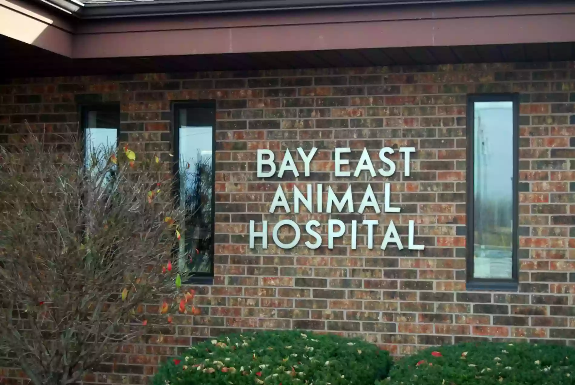 Bay East Animal Hospital