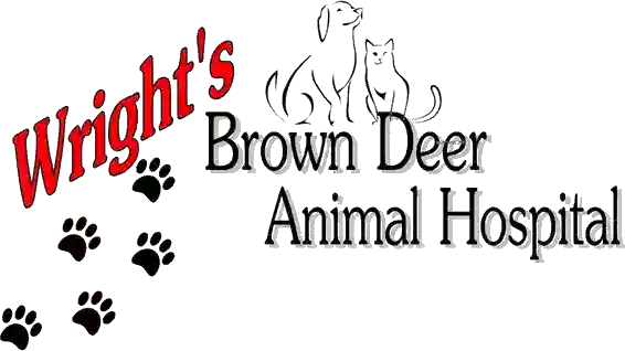 Brown Deer Animal Hospital LLC