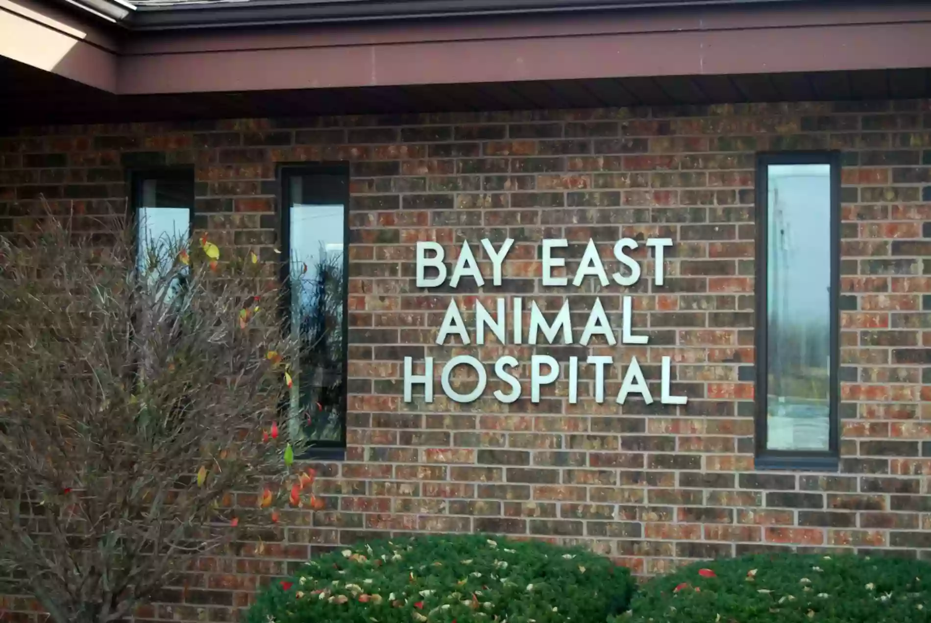 Bay East Animal Hospital: Zellmer Kirsten E DVM