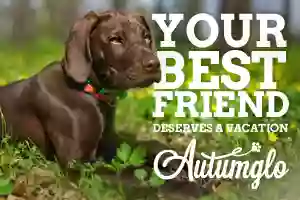 Autumglo Pet Lodge