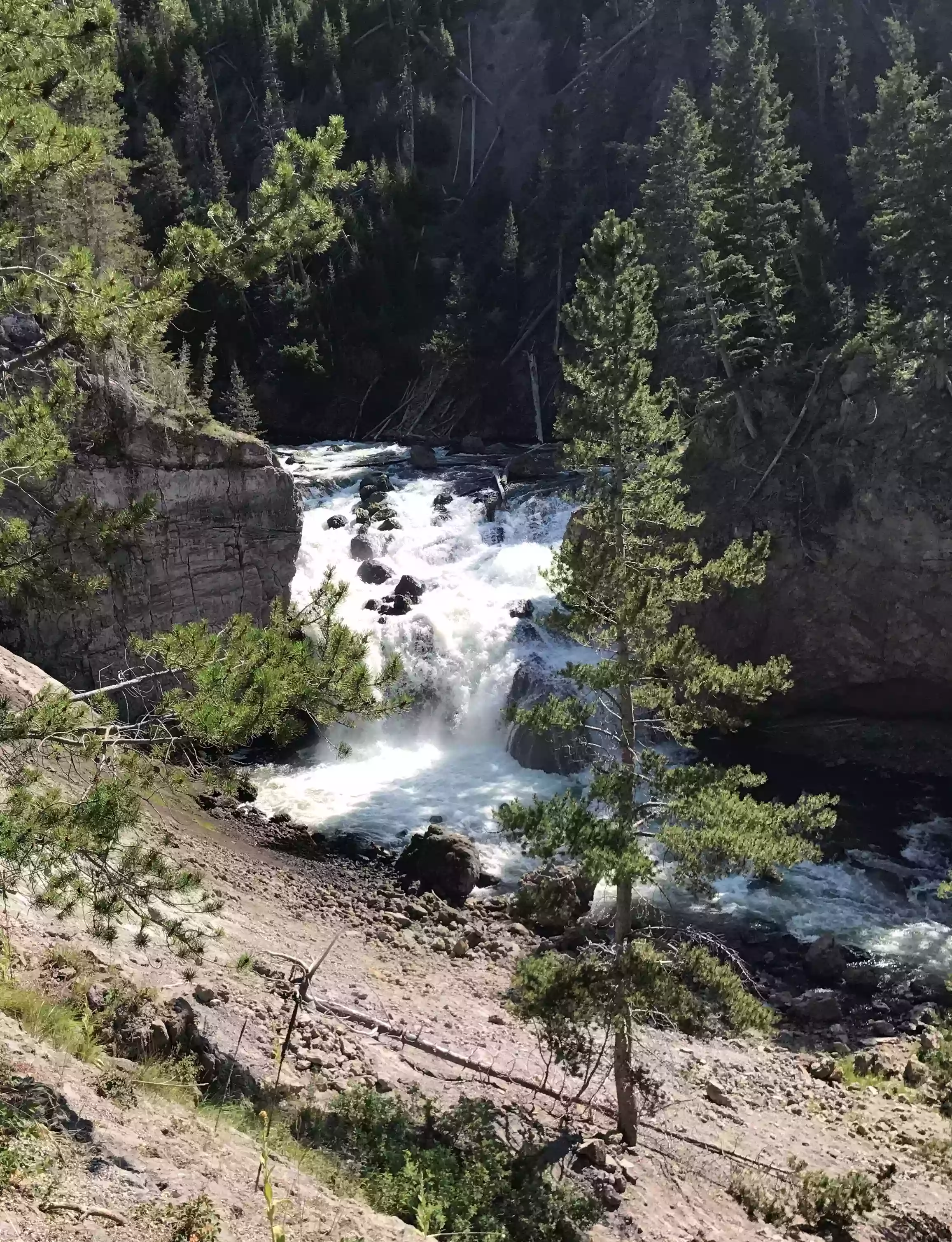 Firehole River Swimming Area