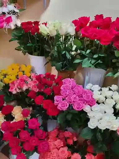 Квіти